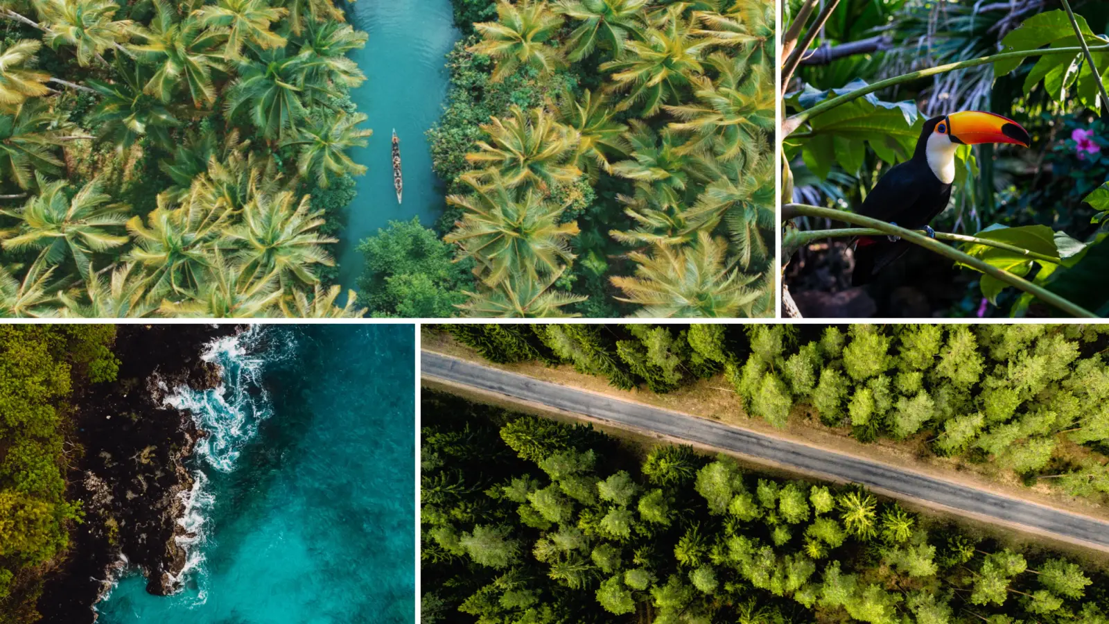 Your title here banner